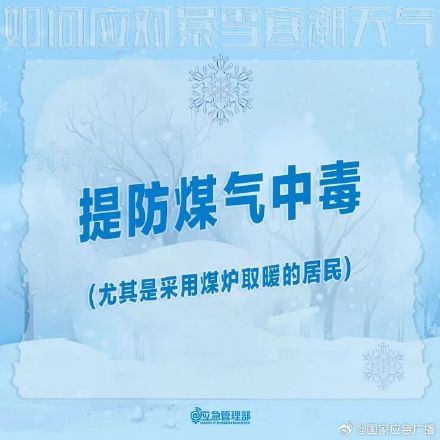 收到暴雪预警后，你该怎么做？