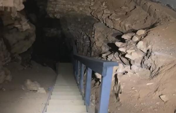 美国在内陆地区发现2种鲨鱼新物种 距今超过3亿年