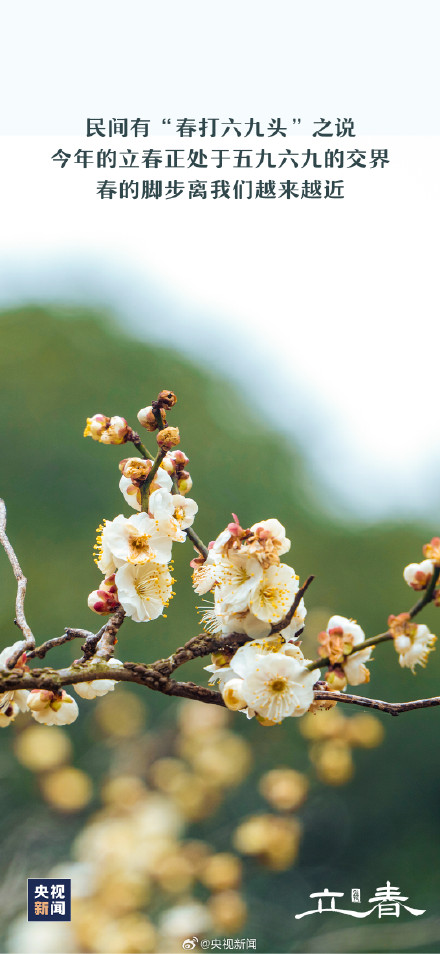 兔年的第二个立春来了 兔年的第二个立春来了