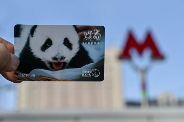 莫斯科地铁发行旅俄大熊猫幼崽主题交通卡
