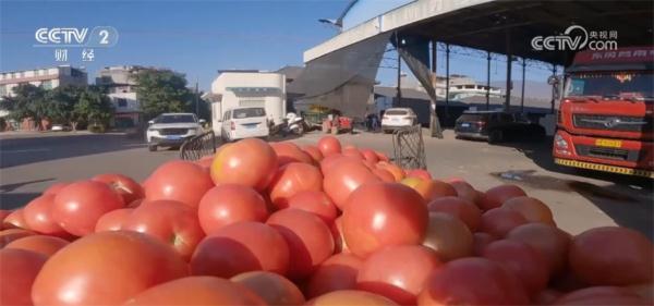 “南菜北运”加速跑、年夜饭预订火爆、年宵花热销 人间烟火味最抚凡人心 “南菜北运”加速跑、年夜饭预订火爆、年宵花热销 人间烟火味最抚凡人心