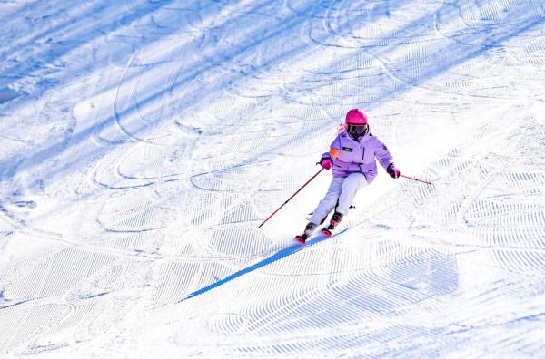 十四冬火炬传递活动举行 全冬圣火照耀活力内蒙古