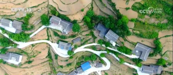 方向清晰、任务明确 中央一号文件擘画乡村振兴新图景