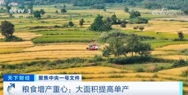 解读2024年中央一号文件 为什么粮食增产重心放在大面积提高单产上? 解读2024年中央一号文件 为什么粮食增产重心放在大面积提高单产上?