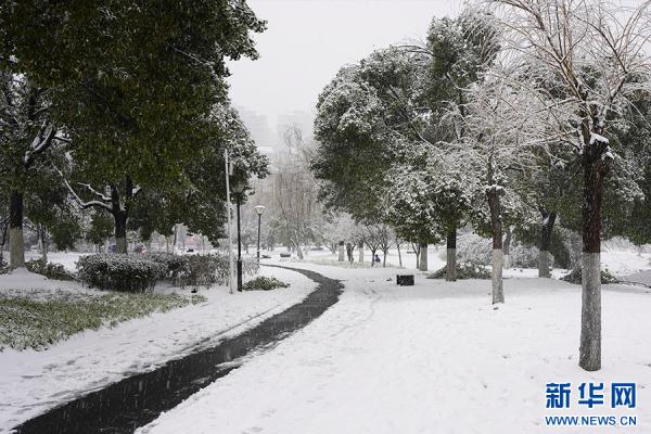 湖北武汉:立春迎飞雪 湖北武汉:立春迎飞雪