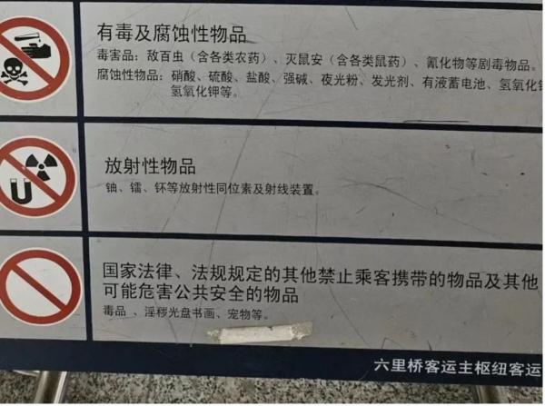 过年回家，宠物咋办？