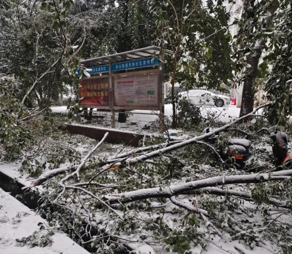湖北冻雨到底有多难铲？