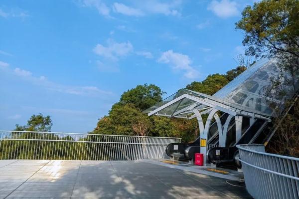 广州也有“无痛登山”！白云山摩星岭观光扶梯今日开放