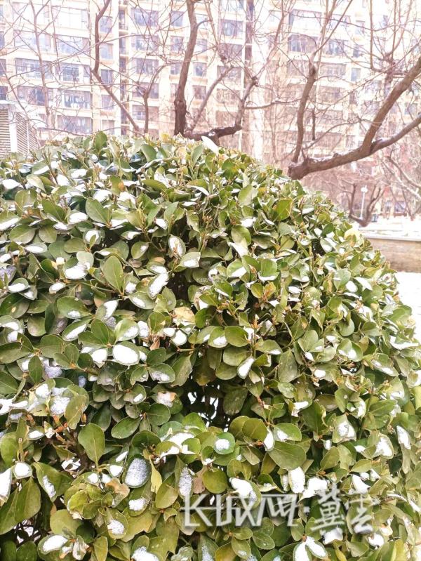 小雪+中雪！今明两天，河北这些地方还有雪