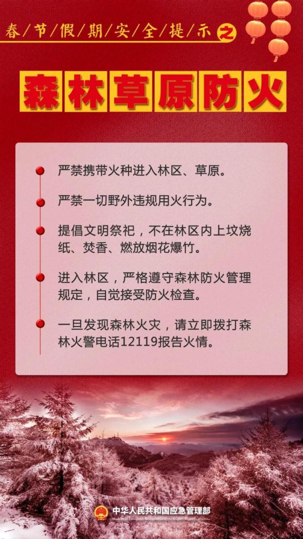 新春佳节即将到来 这份安全提示请查收！