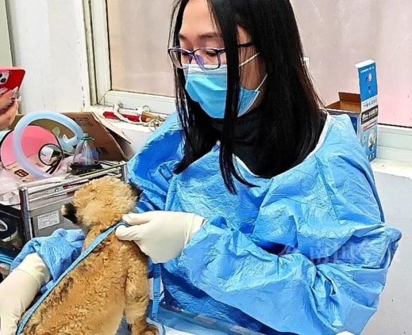 柳州小狮子，有了最新消息！看完心都化了