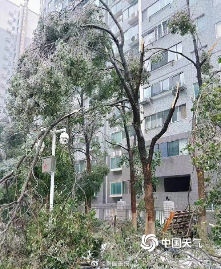 南方遭遇大范围雨雪天多地降温超10℃ 除夕起有望结束