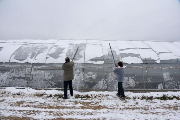 风雪中忙碌的身影