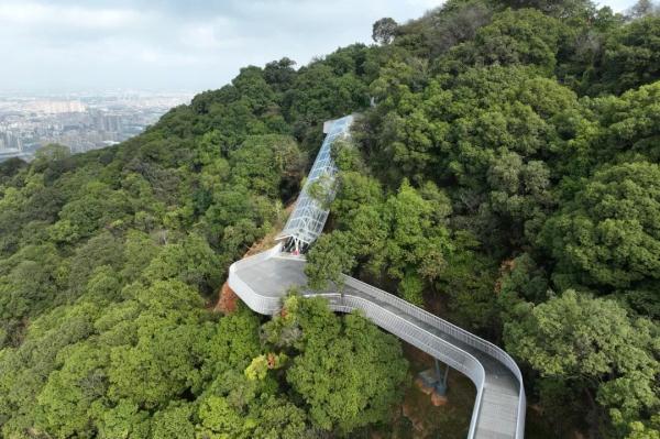 广州也有“无痛登山”！白云山摩星岭观光扶梯今日开放
