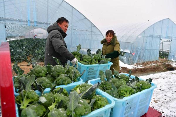 风雪中忙碌的身影