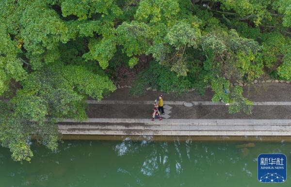 侗寨女孩追梦“村超村晚” 侗寨女孩追梦“村超村晚”