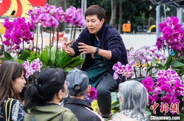 香港市民乐逛年宵市场