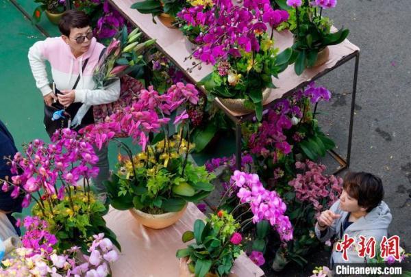 香港市民乐逛年宵市场