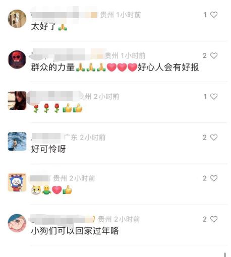 朋友圈刷屏！百余只小狗被遗弃贵州一服务区，暖心后续来了