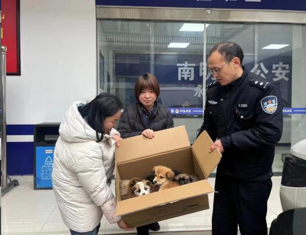 朋友圈刷屏！百余只小狗被遗弃贵州一服务区，暖心后续来了