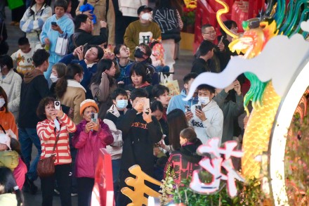 百年花市广州越秀西湖花市亮灯 明早正式开市持续4天