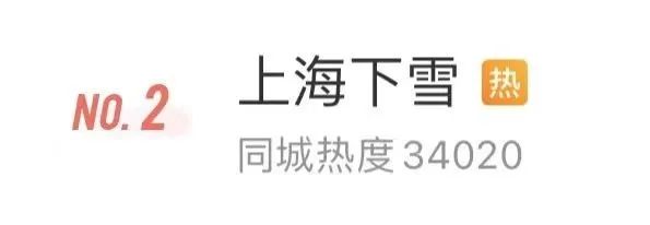 今天的雪很认真！上海多地飘起小雪，照片拍得出的那种