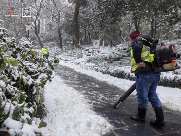 这次冰雪为何频频压断树枝？武汉已清理上10万处断枝