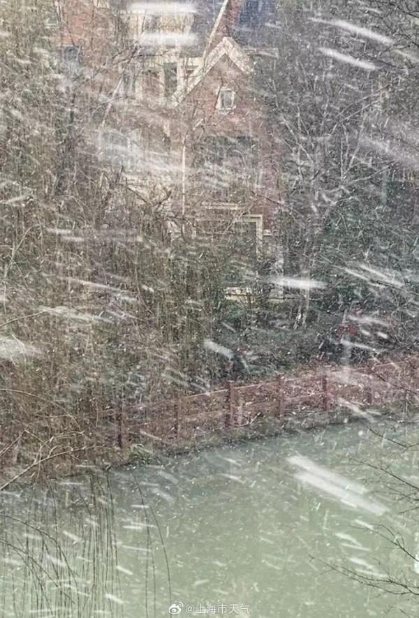 今天的雪很认真！上海多地飘起小雪，照片拍得出的那种
