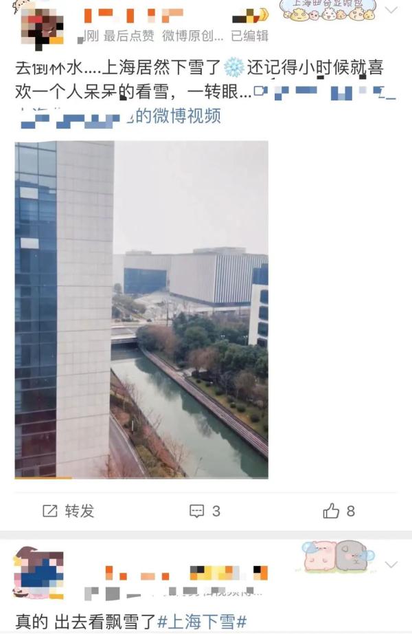 今天的雪很认真！上海多地飘起小雪，照片拍得出的那种