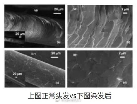 过年染头注意了！染头染浅色发质更容易受损