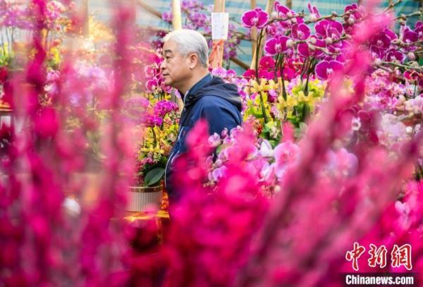 香港市民乐逛年宵市场