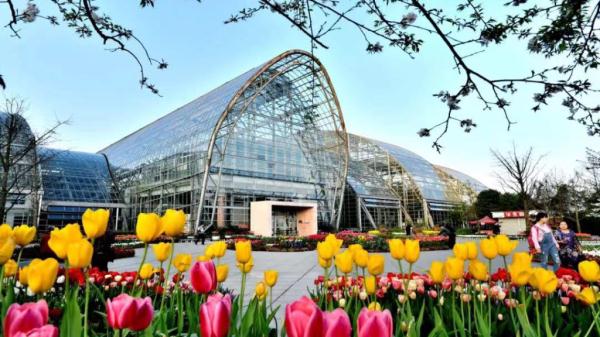 龙年春节哪里耍？重庆“游园攻略”来了