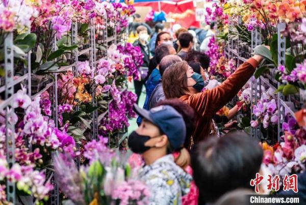 香港市民乐逛年宵市场