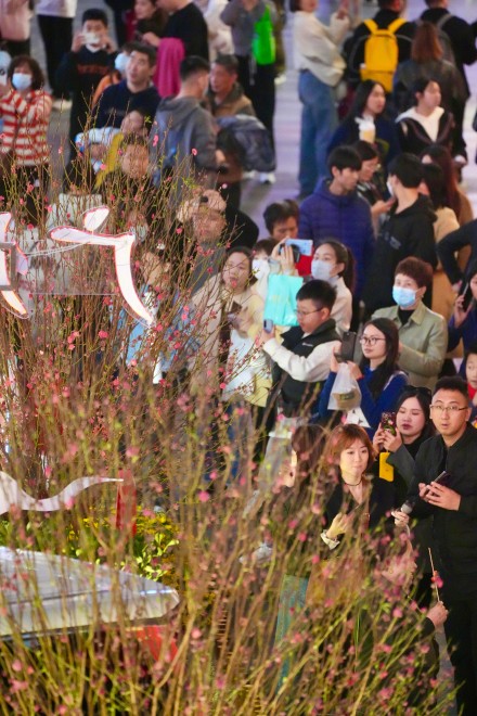 百年花市广州越秀西湖花市亮灯 明早正式开市持续4天