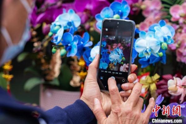 香港市民乐逛年宵市场