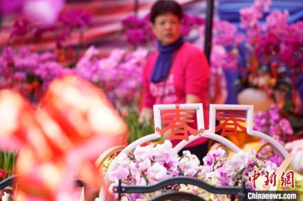 香港市民乐逛年宵市场