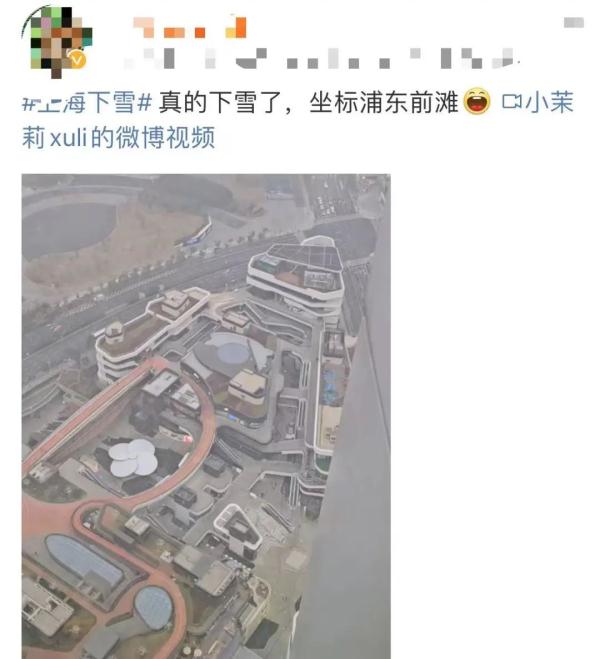 今天的雪很认真！上海多地飘起小雪，照片拍得出的那种