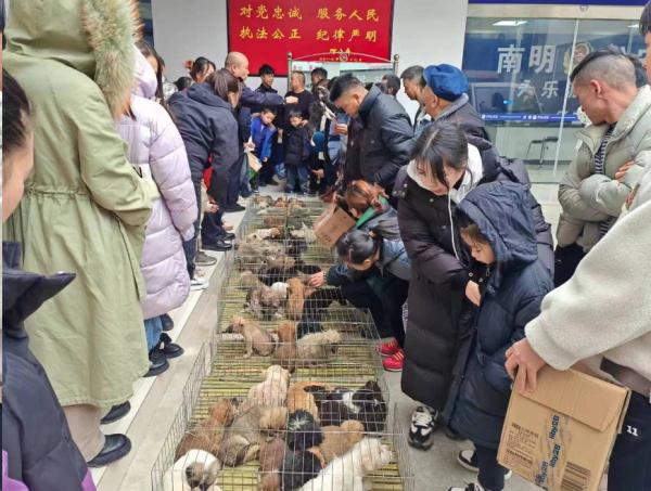 朋友圈刷屏！百余只小狗被遗弃贵州一服务区，暖心后续来了