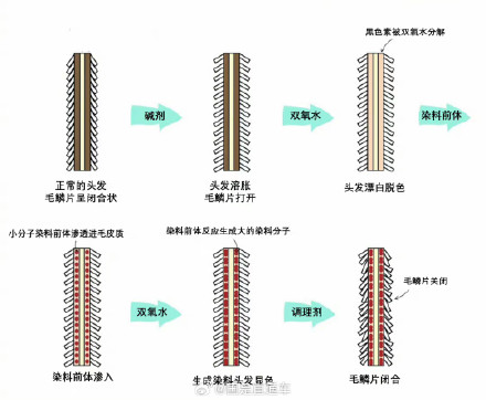 过年染头注意了！染头染浅色发质更容易受损