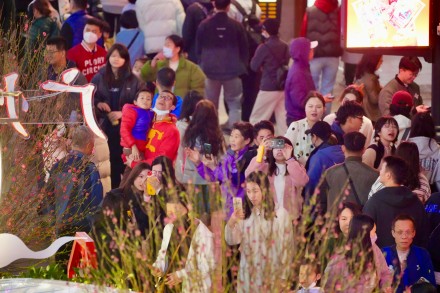 百年花市广州越秀西湖花市亮灯 明早正式开市持续4天