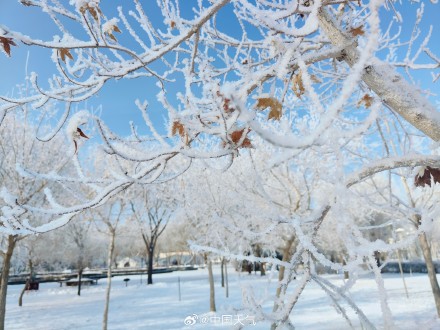 再次被雾凇美哭!甘肃玉门再现绝美雾凇 再次被雾凇美哭!甘肃玉门再现绝美雾凇