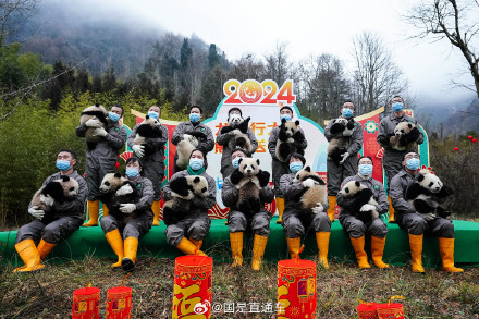 2023级新生熊猫团子们给大家拜年啦
