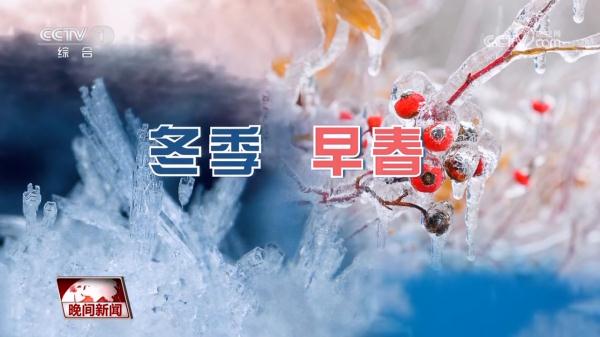 冻雨是如何形成的？