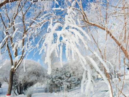 再次被雾凇美哭!甘肃玉门再现绝美雾凇 再次被雾凇美哭!甘肃玉门再现绝美雾凇