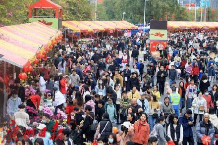 接父母“反向团圆”的年轻人：回家过年不应变成精神内耗