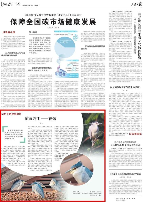 “长辫子”的夜鹭为何有超强夜视能力? “长辫子”的夜鹭为何有超强夜视能力?