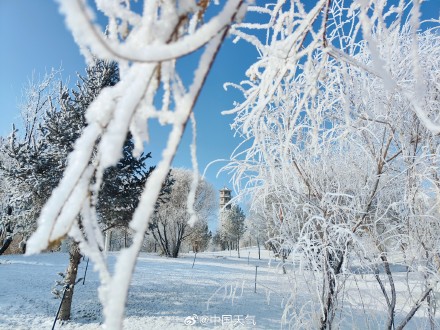 再次被雾凇美哭!甘肃玉门再现绝美雾凇 再次被雾凇美哭!甘肃玉门再现绝美雾凇