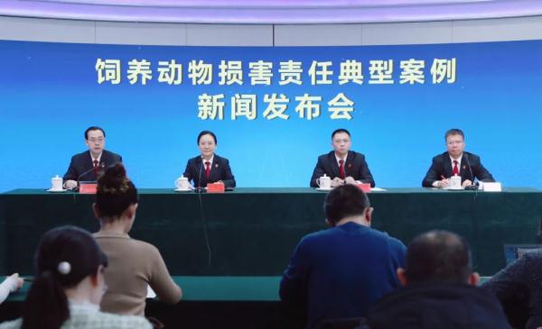 “禁养的烈性犬伤人，饲养人担全责”？专家解读！