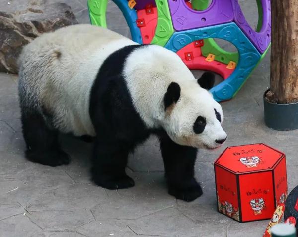 沈阳多景区最新发布!这些人免费! 沈阳多景区最新发布!这些人免费!