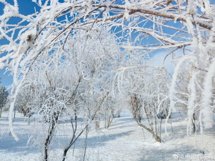 甘肃玉门现绝美雾凇
